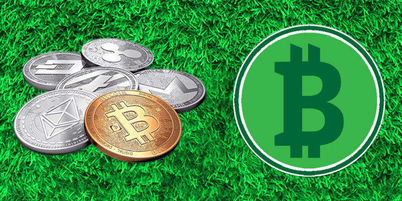 Green Crypto: Best Eco-Friendly Cryptocurrencies of 2023